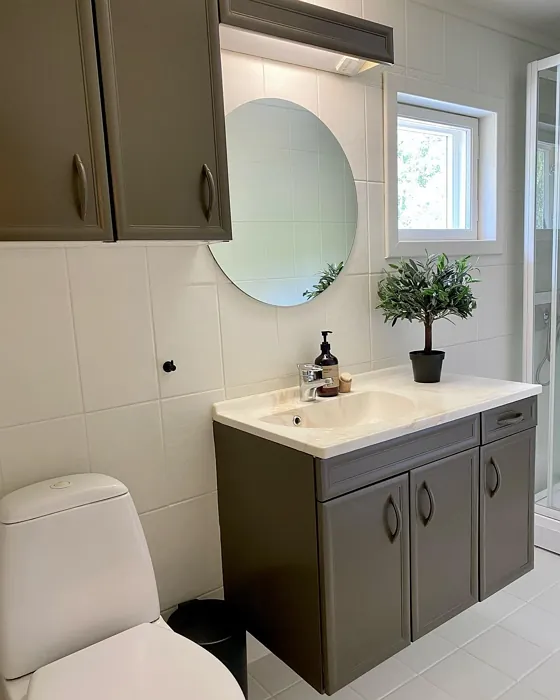 Jotun Smoked Oak bathroom vanity color