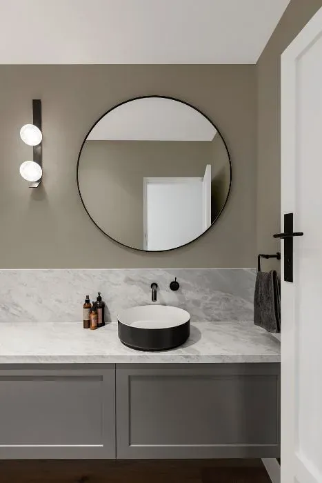 Sherwin Williams Smooth Stone minimalist bathroom