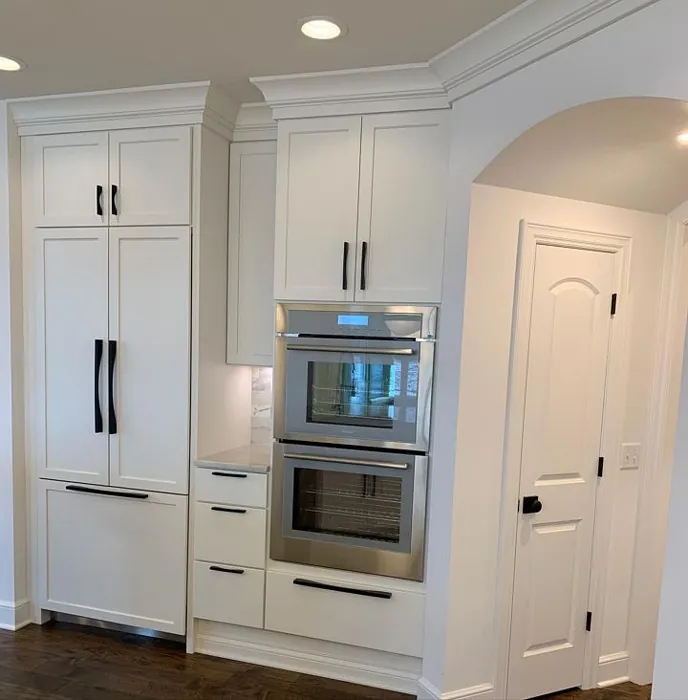 Sw Snowbound Kitchen Cabinets