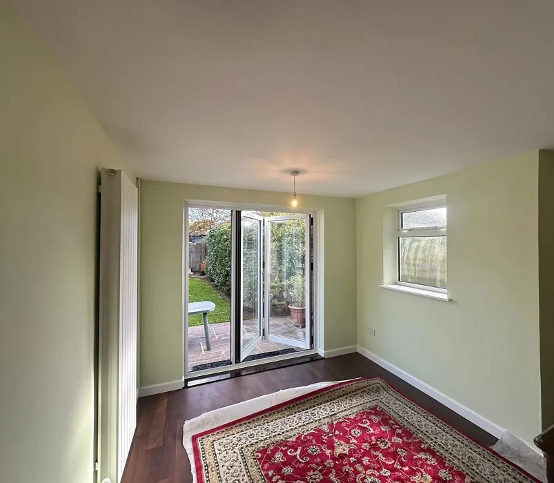 Dulux Soft Apple wall paint color