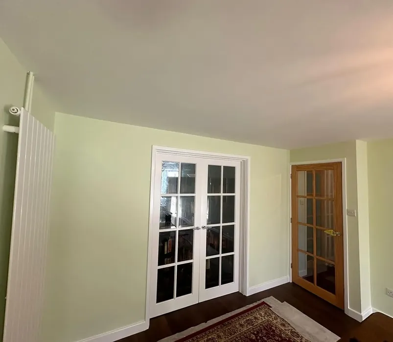 Dulux Soft Apple wall paint paint review