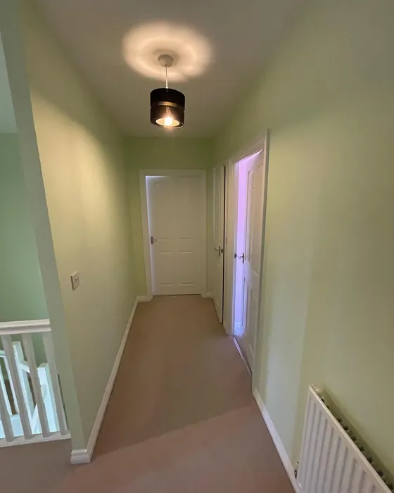 Dulux Soft Apple hallway paint review