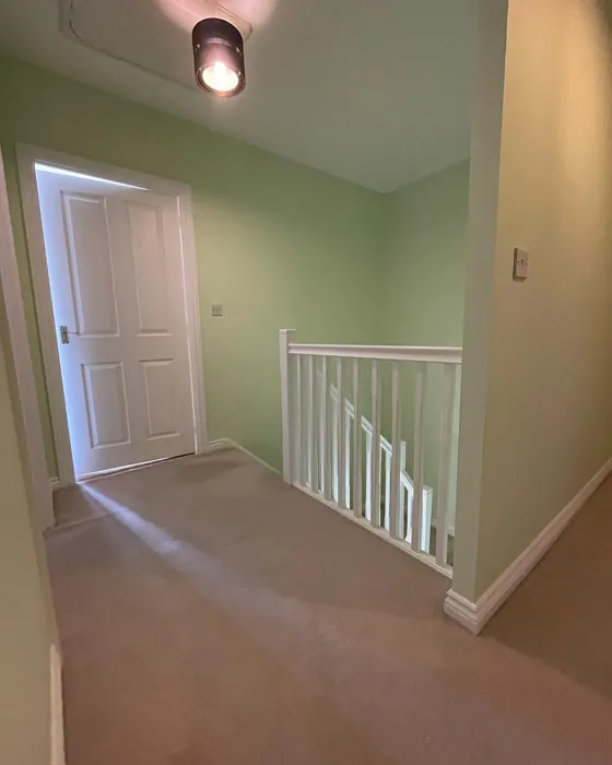 Dulux 10GY 83/150 hallway paint review