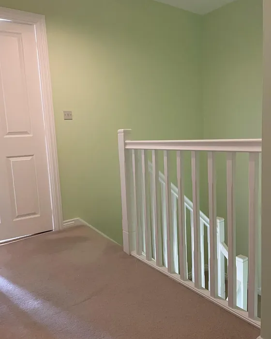 Dulux Kiwi Burst 6 hallway color