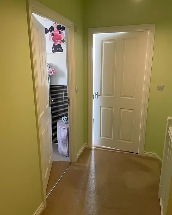 Dulux Kiwi Burst 6 hallway review