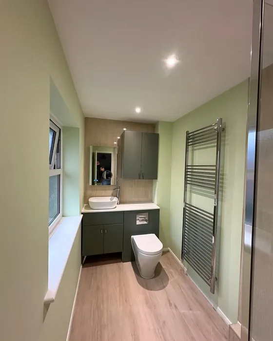 Dulux Soft Apple bathroom color