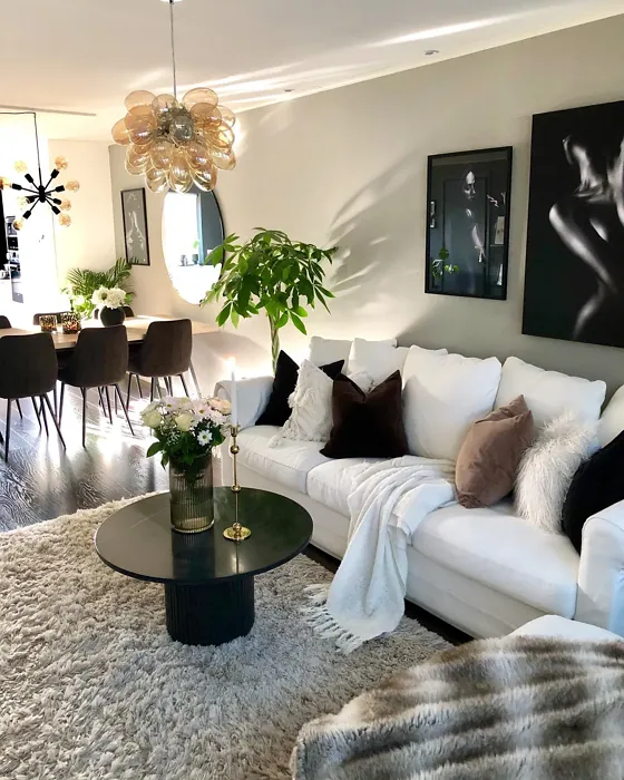 Jotun Soft Grey living room inspo