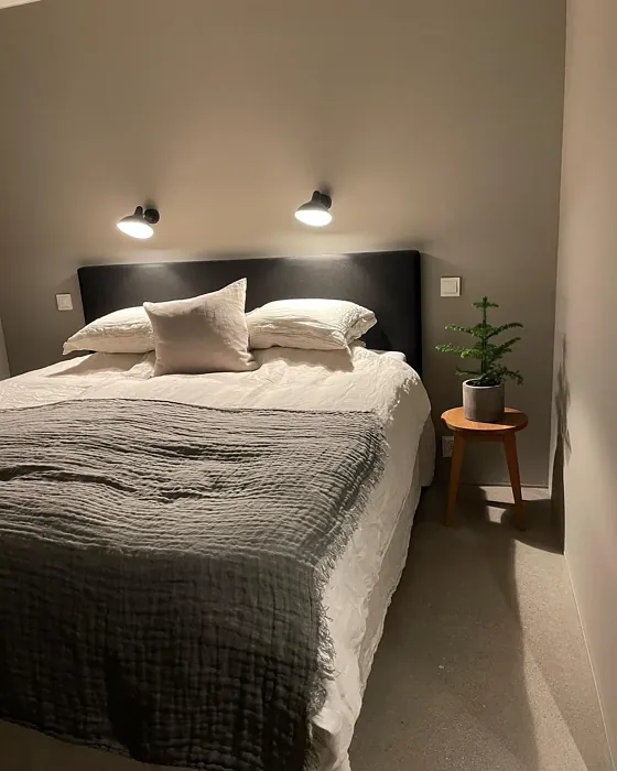 Jotun Soft Grey bedroom accent wall 