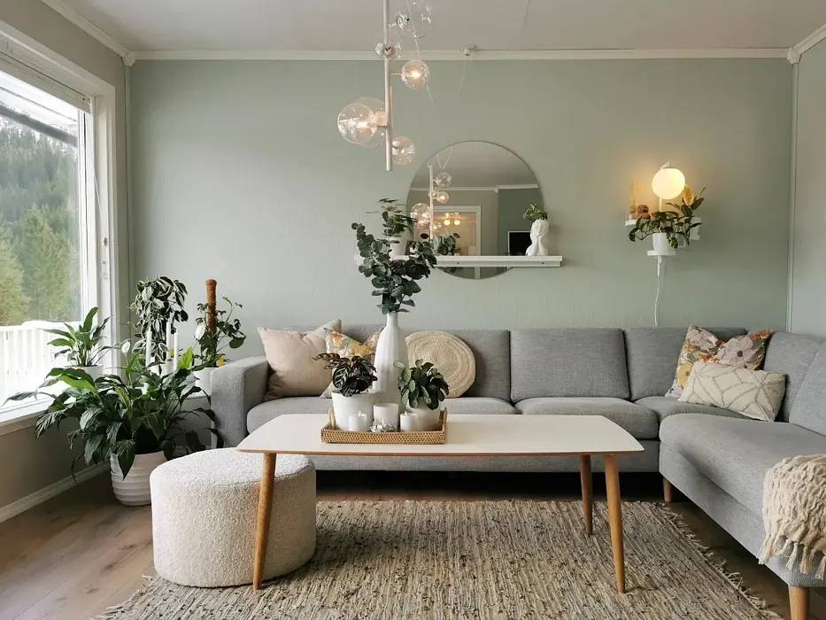 Jotun Soft Mint living room paint review