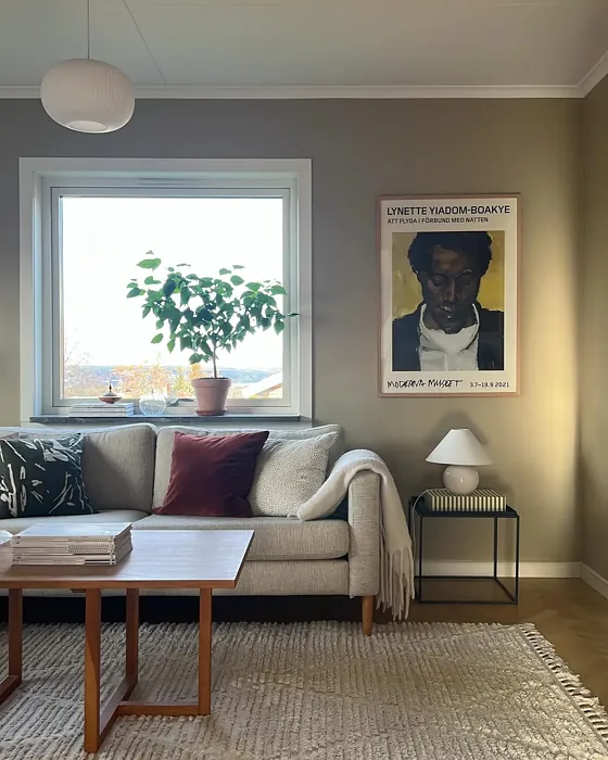 Jotun Soft Savanna living room interior