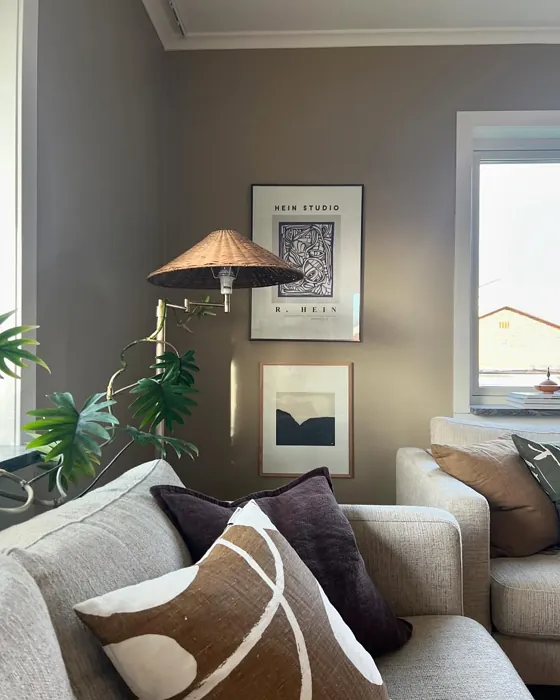 Soft Savanna living room color