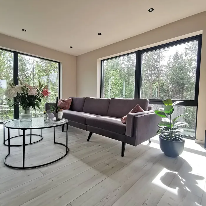 Jotun Soft Skin modern living room color