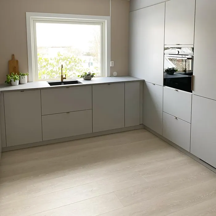 Jotun 10580 modern kitchen picture
