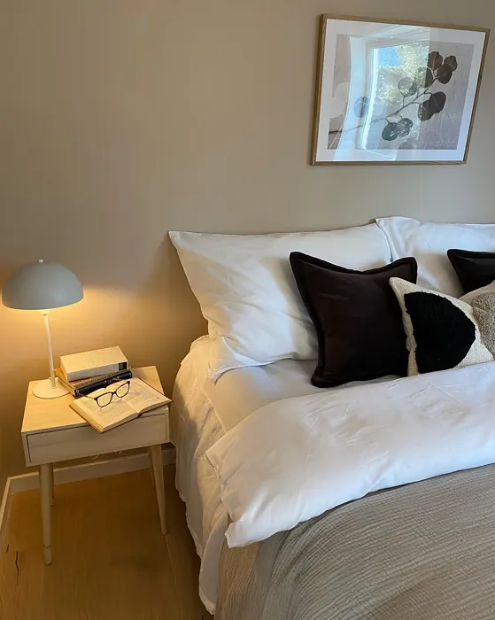 Jotun 10580 modern bedroom color review