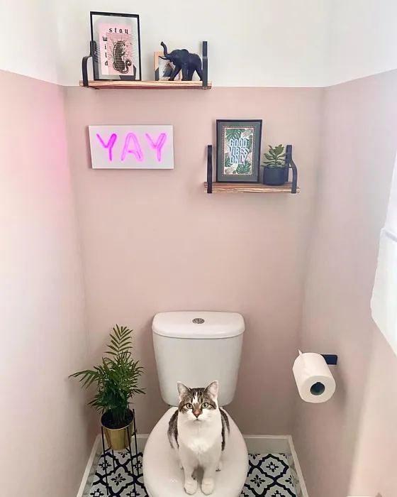 Dulux Soft Stone cozy bathroom paint review