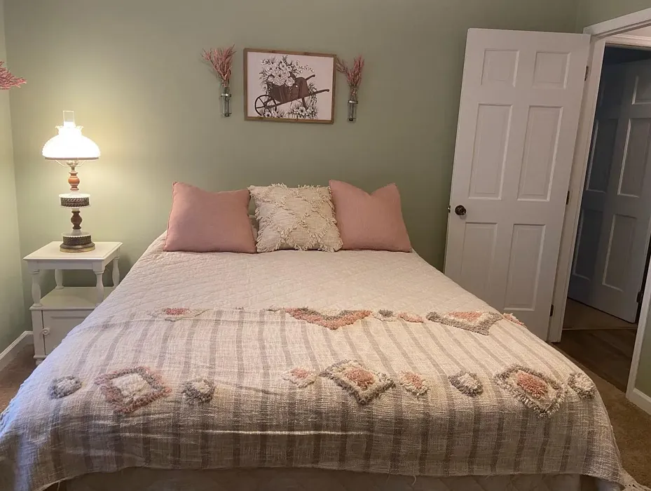 SW Softened Green bedroom review