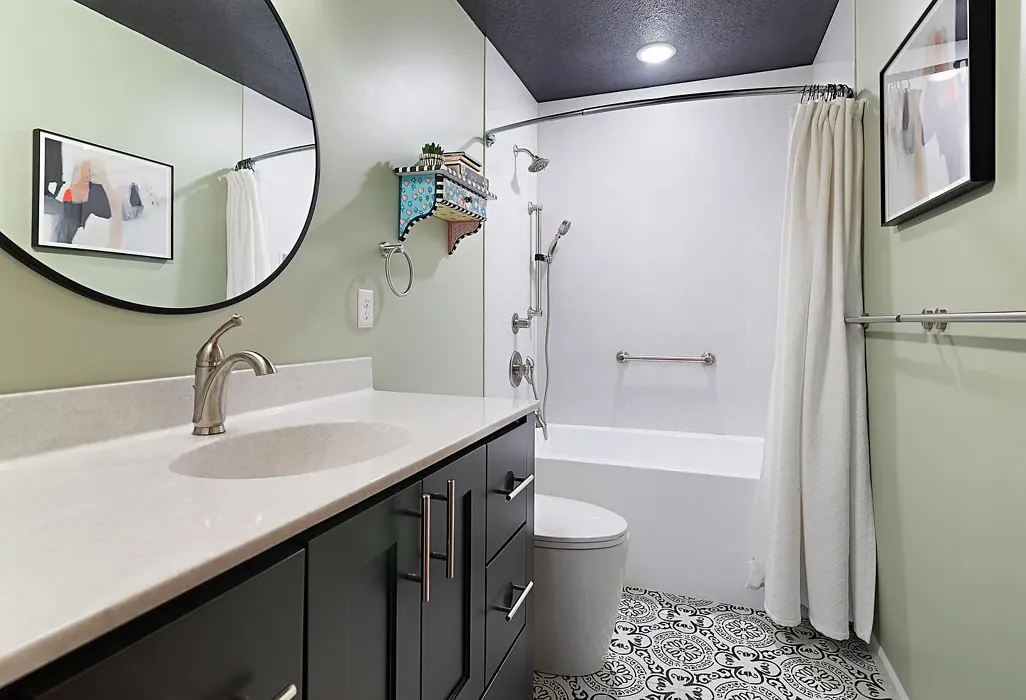 SW Softened Green bathroom paint review