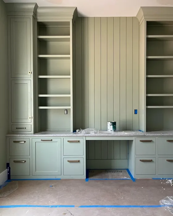 SW Softened Green painted storage paint review