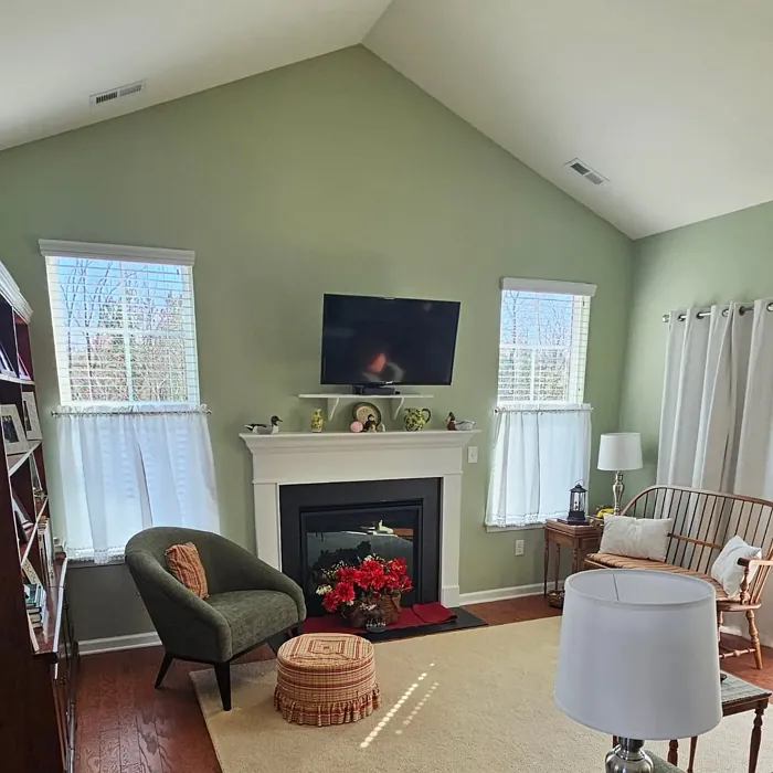 SW Softened Green wall paint interior