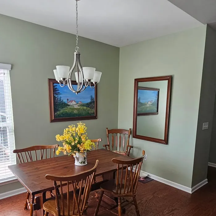 SW Softened Green dining room color