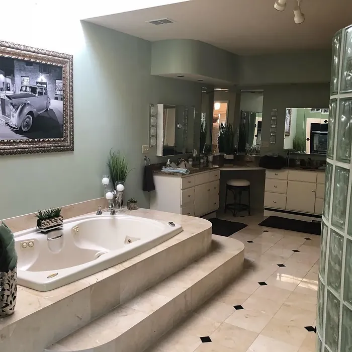 SW Softened Green bathroom interior