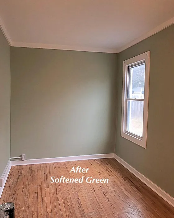 Sherwin Williams Softened Green Review