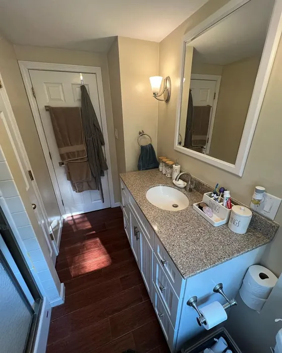 SW 6141 bathroom 