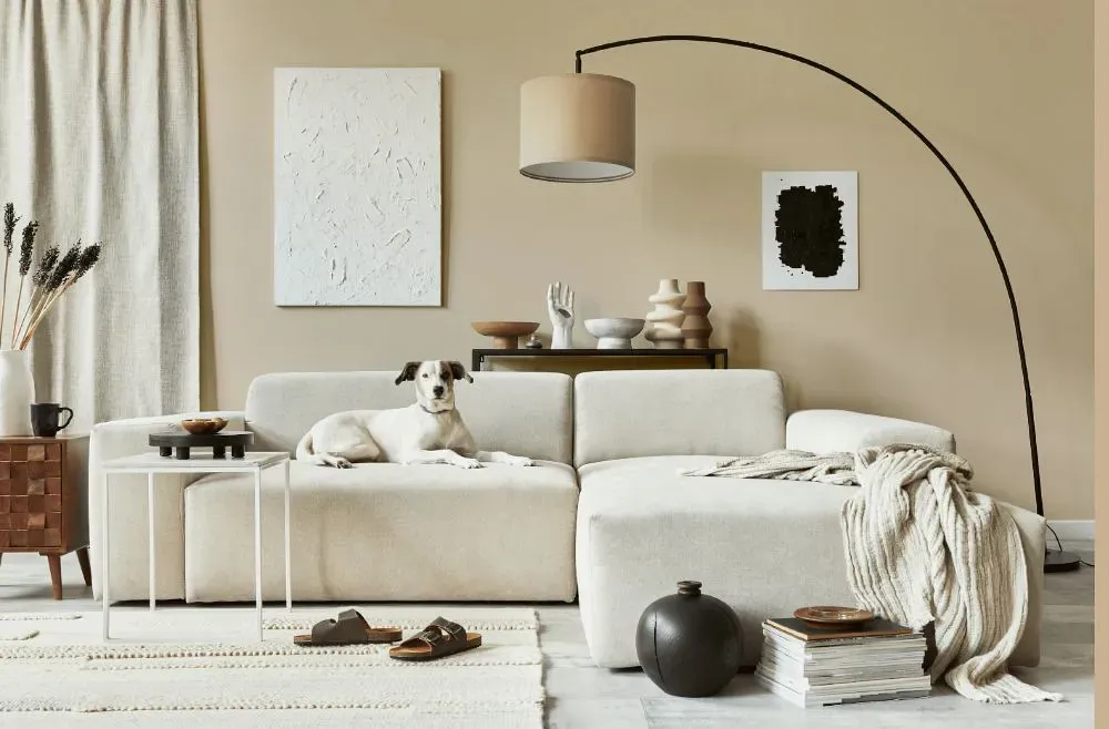 Sherwin Williams Softer Tan cozy living room