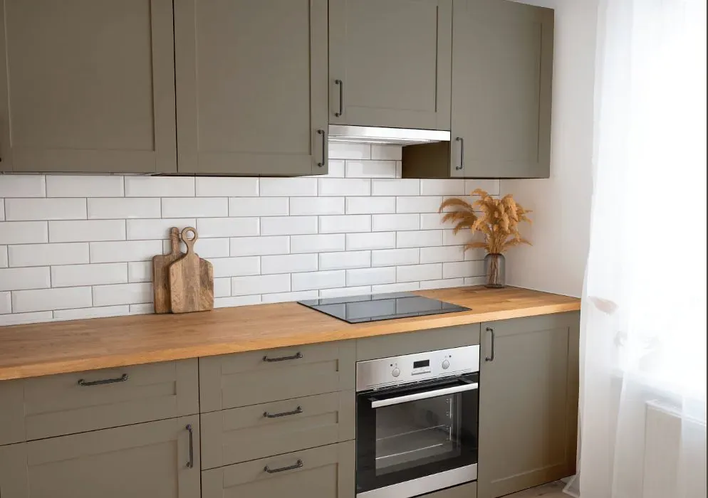 Sherwin Williams Solitary Slate kitchen cabinets