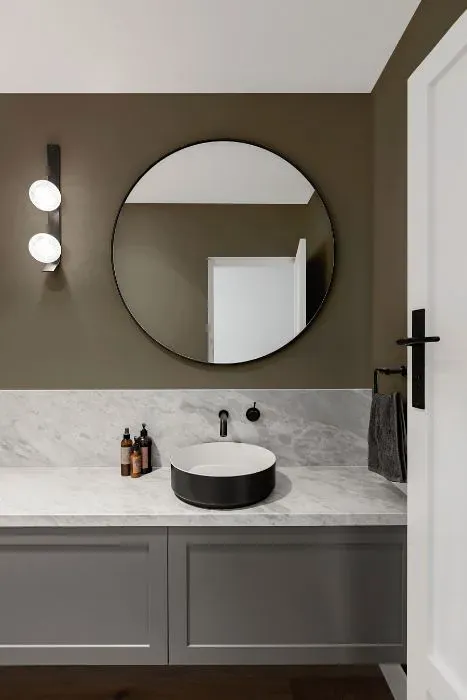 Sherwin Williams Solitary Slate minimalist bathroom