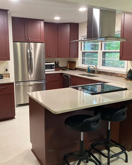 Sherwin Williams Sommelier Kitchen Cabinets