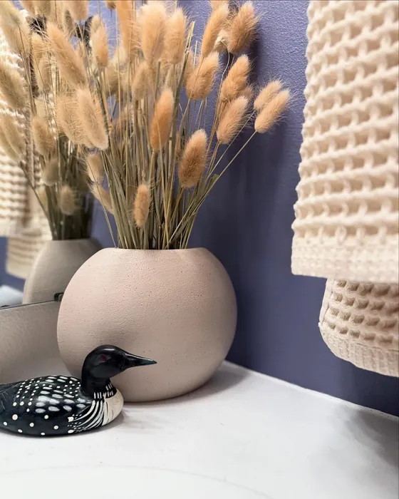 Sherwin Williams Soulful Blue wall paint Sherwin Williams Soulful Blue wall paint