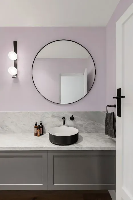 Sherwin Williams Spangle minimalist bathroom