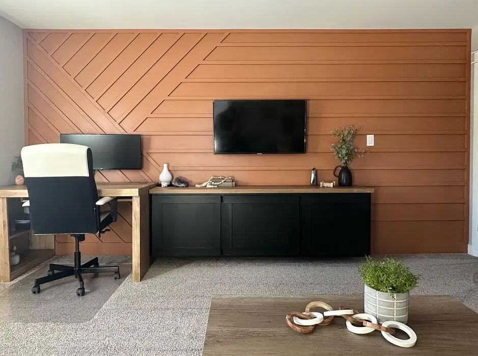 SW Spiced Cider home office accent wall