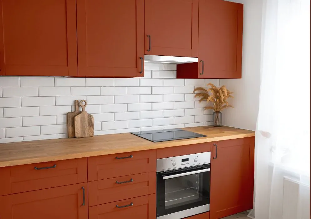 Sherwin Williams Spicy Hue kitchen cabinets