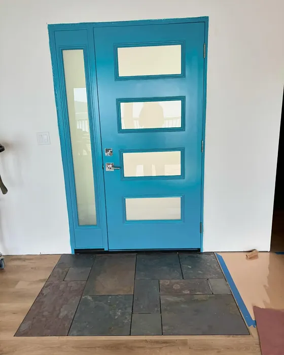 Sherwin Williams Splashy door 