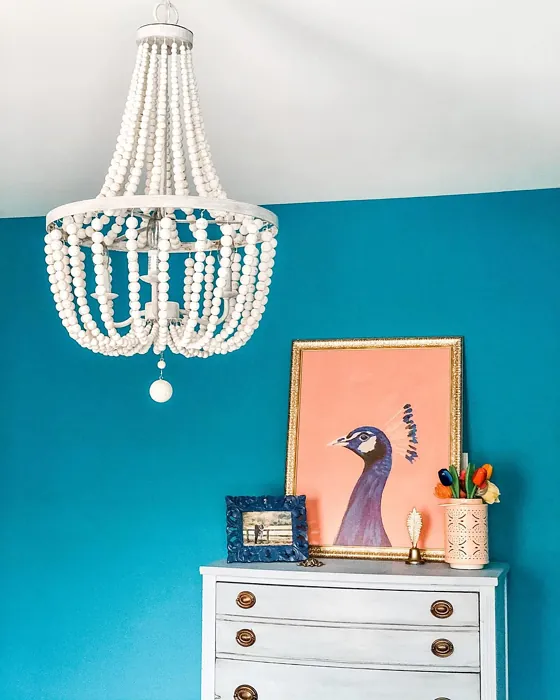 Sherwin Williams Splashy wall paint 