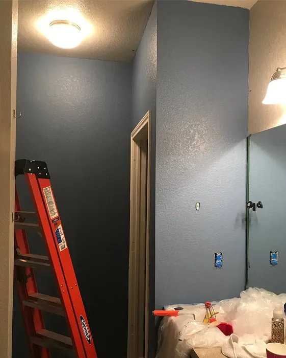 SW Sporty Blue bathroom color review