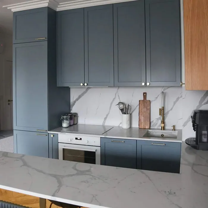 RAL Classic Squirrel grey RAL 7000 gray kitchen cabinets