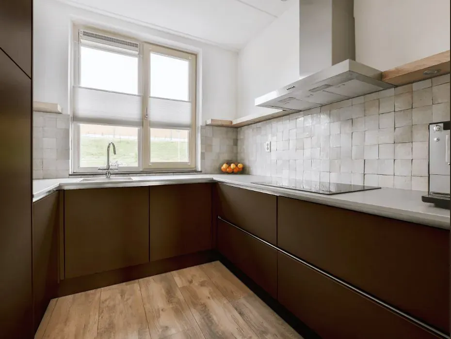 Sherwin Williams Status Bronze small kitchen cabinets