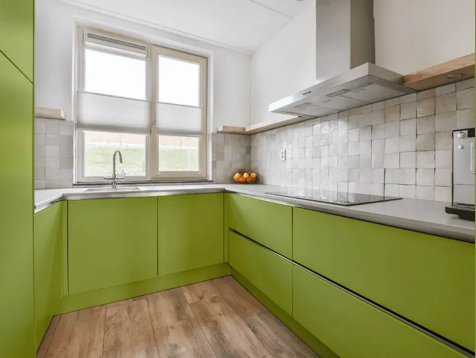 Sherwin Williams Stay in Lime small kitchen cabinets