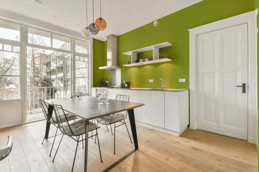 Sherwin Williams Stay in Lime kitchen review