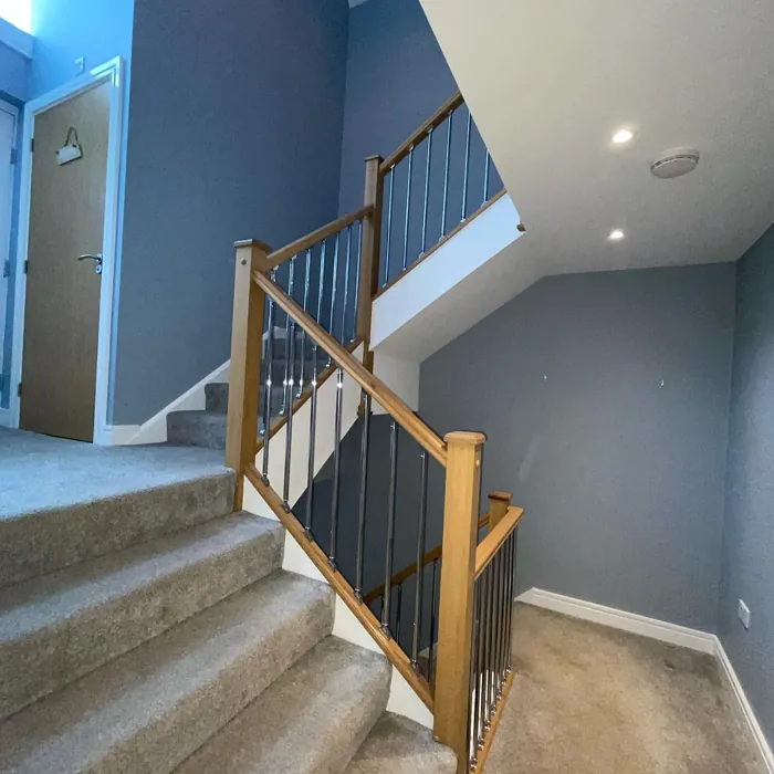 Dulux Steel Parade hallway color