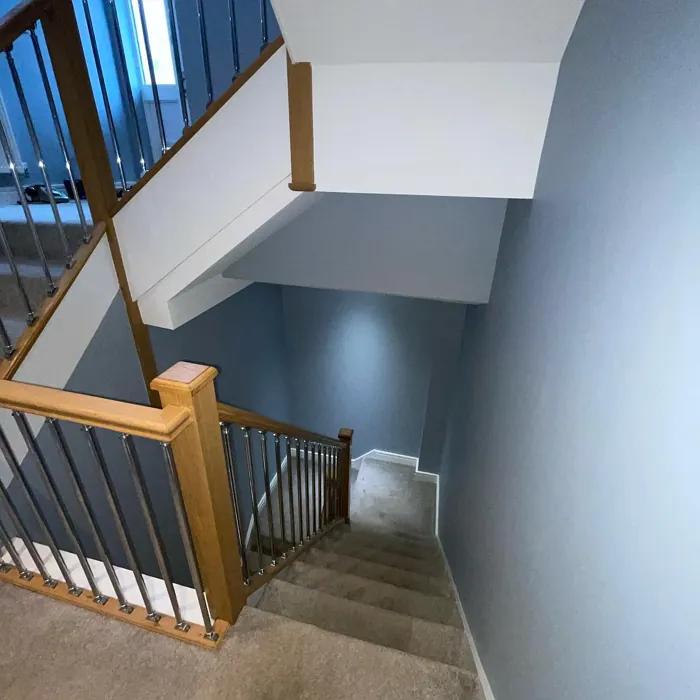 Dulux Steel Parade hallway color review