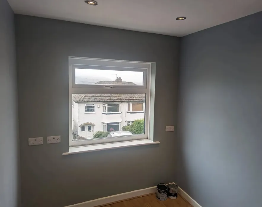 Dulux Steel Parade wall paint 