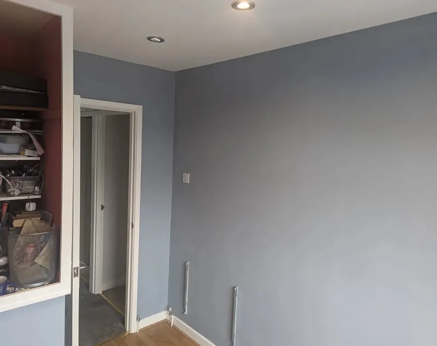 Dulux Steel Parade wall paint review