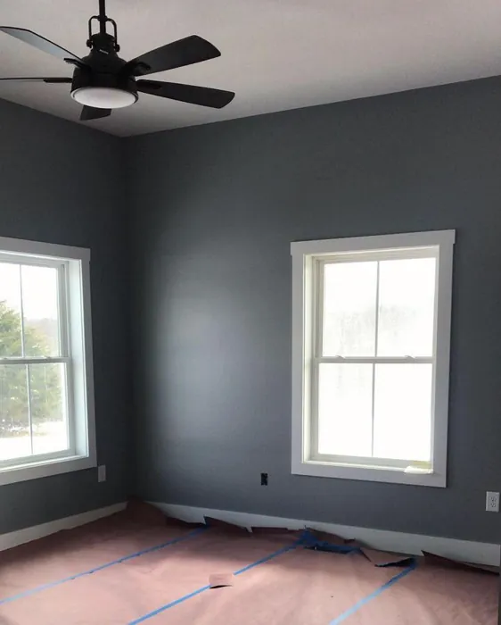 Sherwin Williams Steely Gray Living Room