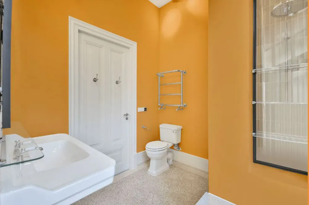 Sherwin Williams Stirring Orange bathroom