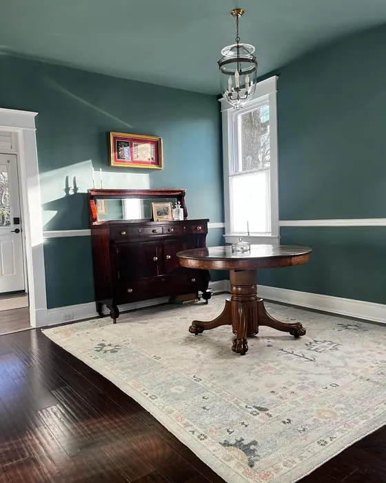 SW Studio Blue Green wall paint review