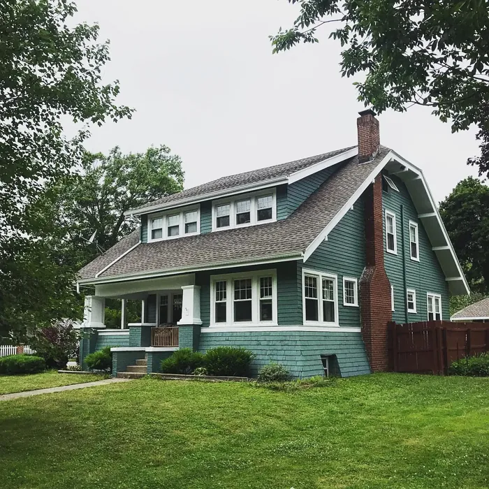 SW Studio Blue Green house exterior review